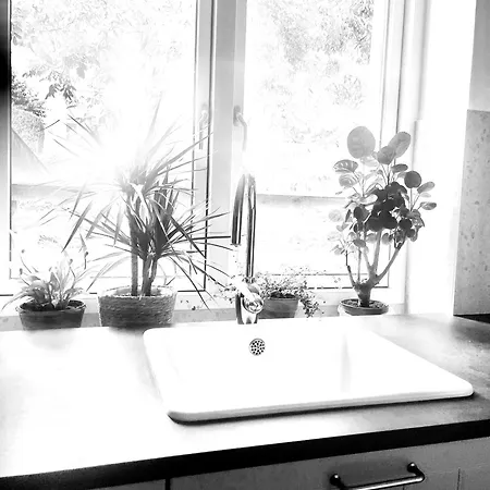 Apartment Saltwater *